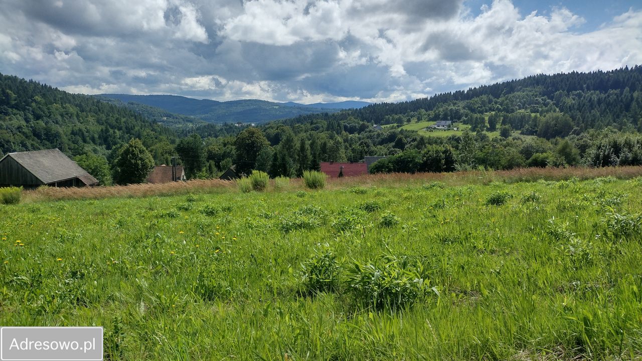 Działka rolno-budowlana Zachełmna. Zdjęcie 3