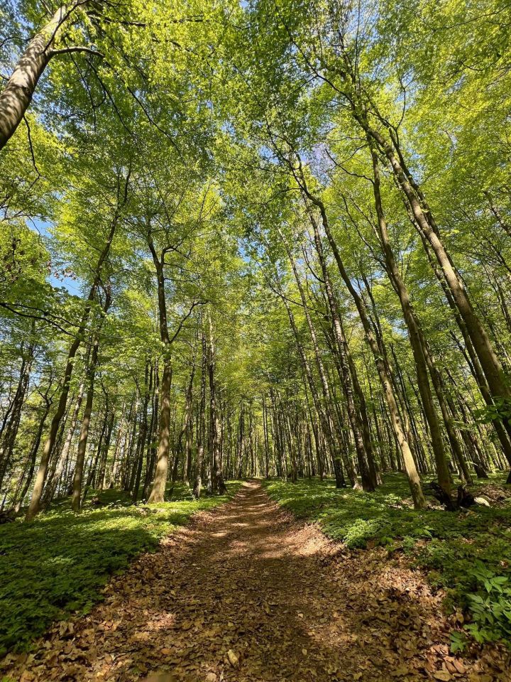 Działka budowlana Bronowo. Zdjęcie 5