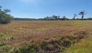Działka rolno-budowlana Kossobudy