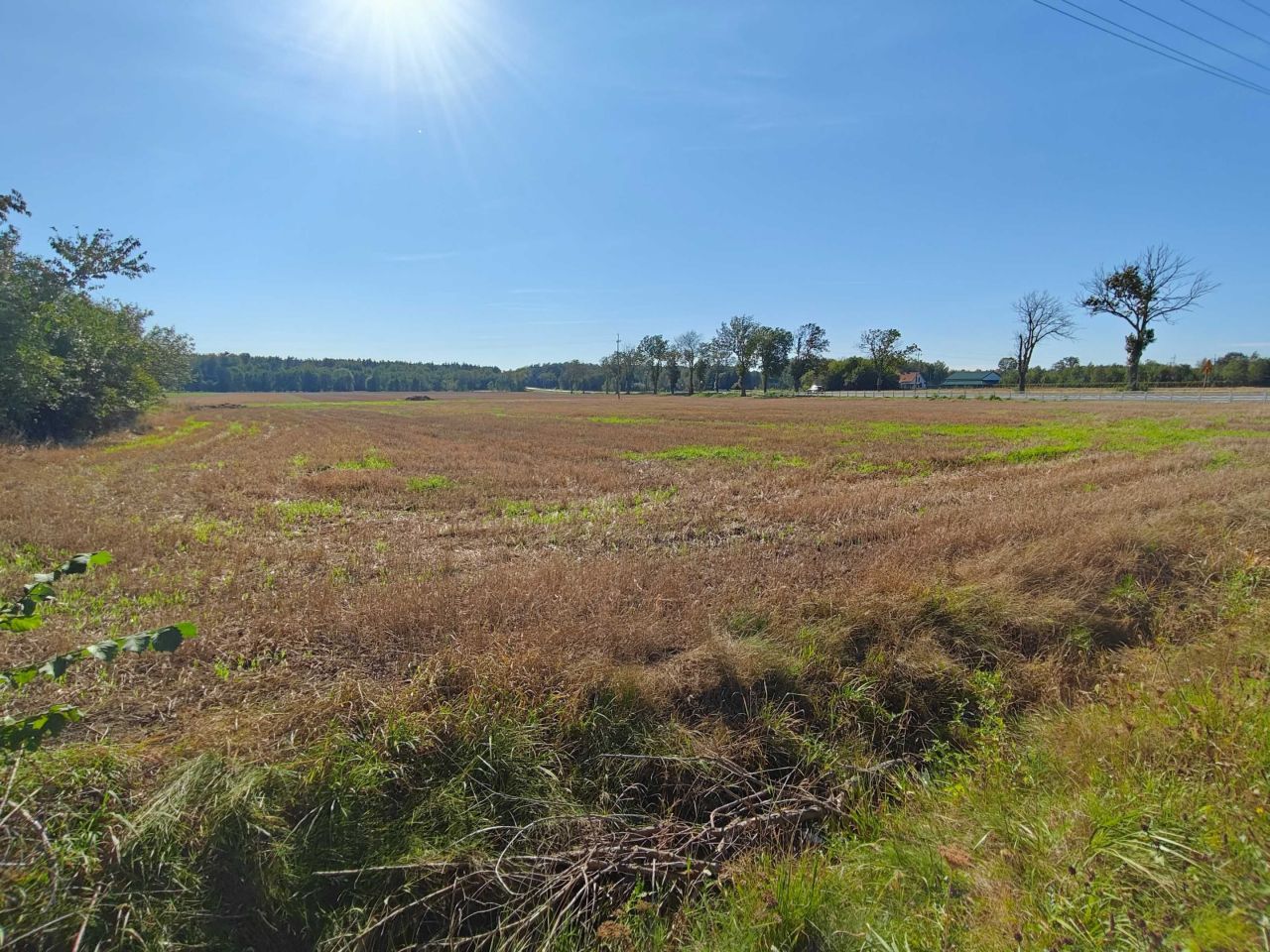 Działka rolno-budowlana Kossobudy. Zdjęcie 2