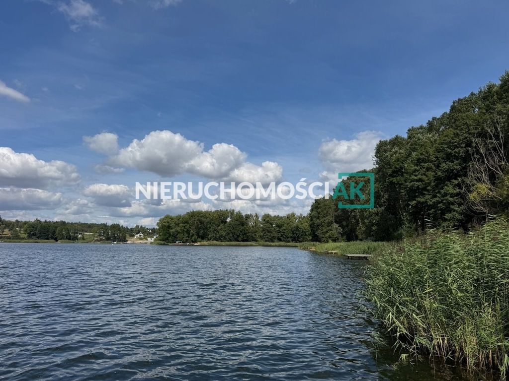 Działka leśna Głębockie Pierwsze. Zdjęcie 8