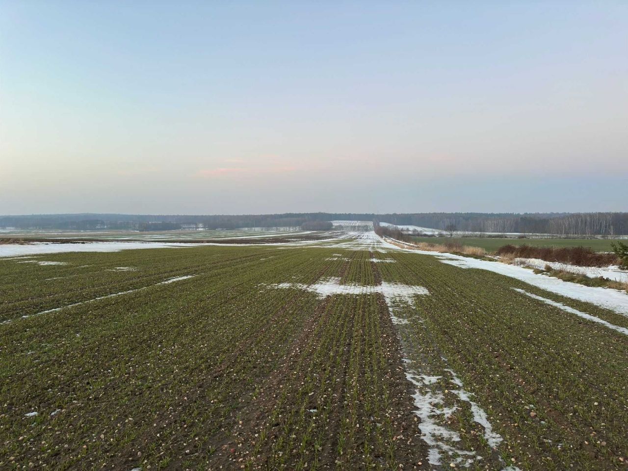 Działka budowlana Sadów. Zdjęcie 3