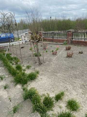 dom wolnostojący, 5 pokoi Żary. Zdjęcie 6