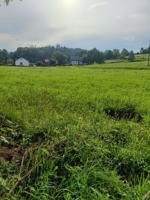 Działka budowlana Orzechówka. Zdjęcie 2