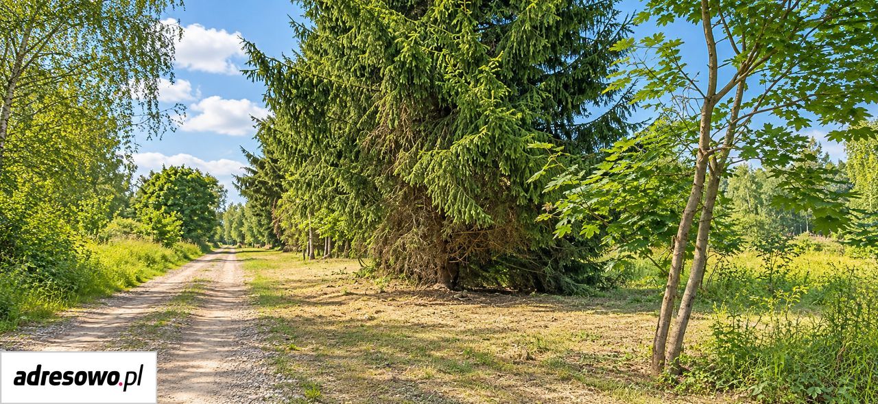 Działka budowlana Osowiec, ul. Melisy. Zdjęcie 7