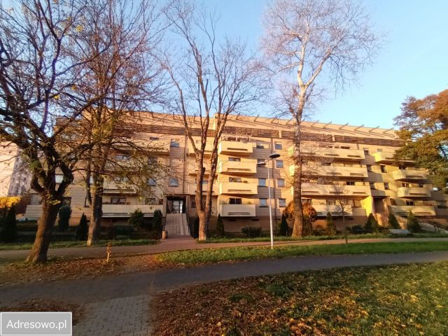 Mieszkanie 3-pokojowe Leszno, ul. Armii Krajowej. Zdjęcie 1