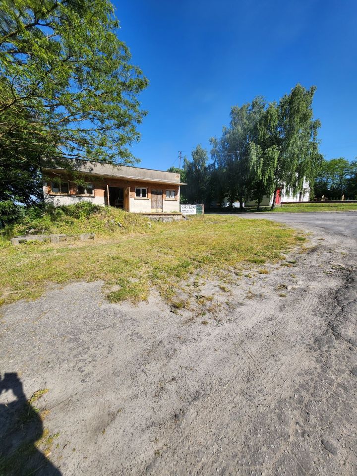 Lokal Dąbrowa. Zdjęcie 7