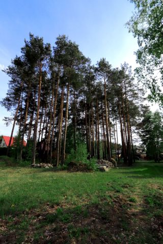 Działka budowlana Otwock, ul. Bagnista. Zdjęcie 4