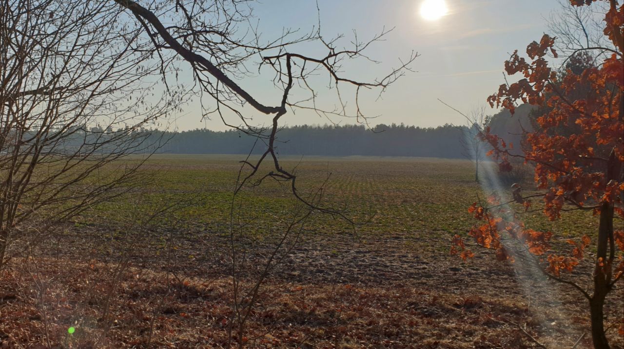 Działka budowlana Celiny. Zdjęcie 6