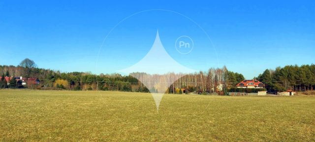 Działka rolna Marcinkowo. Zdjęcie 7