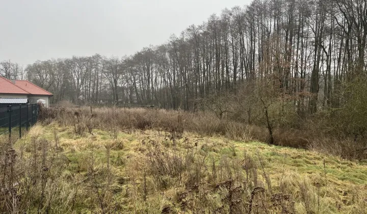 Działka budowlana Goleniów, ul. Bankowa