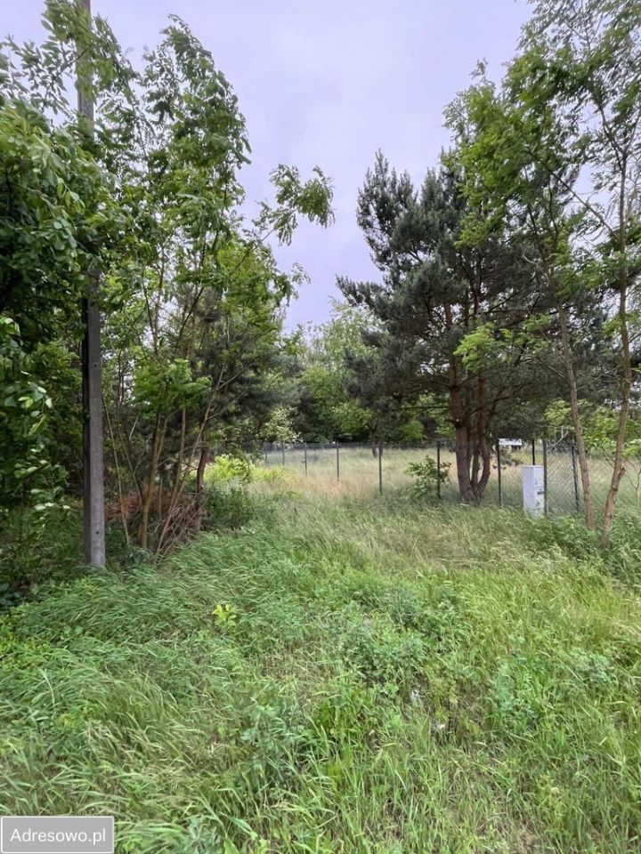 Działka budowlana Miałkówek. Zdjęcie 1