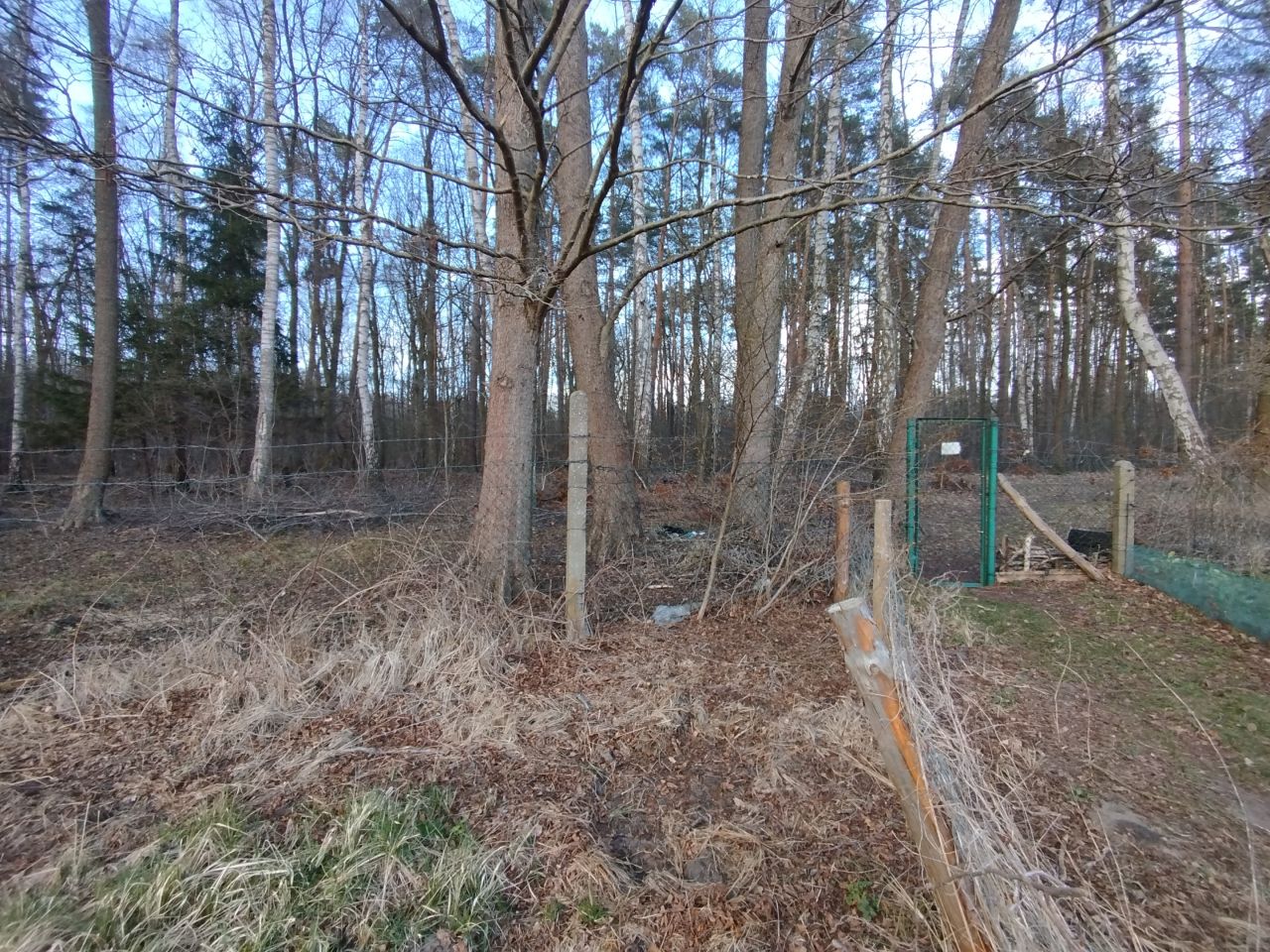 Działka rod Goleniów, ul. Polna. Zdjęcie 9