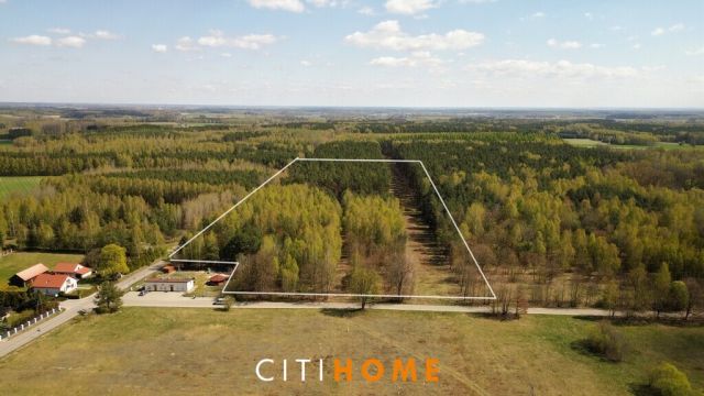 Działka leśna Poschła. Zdjęcie 2