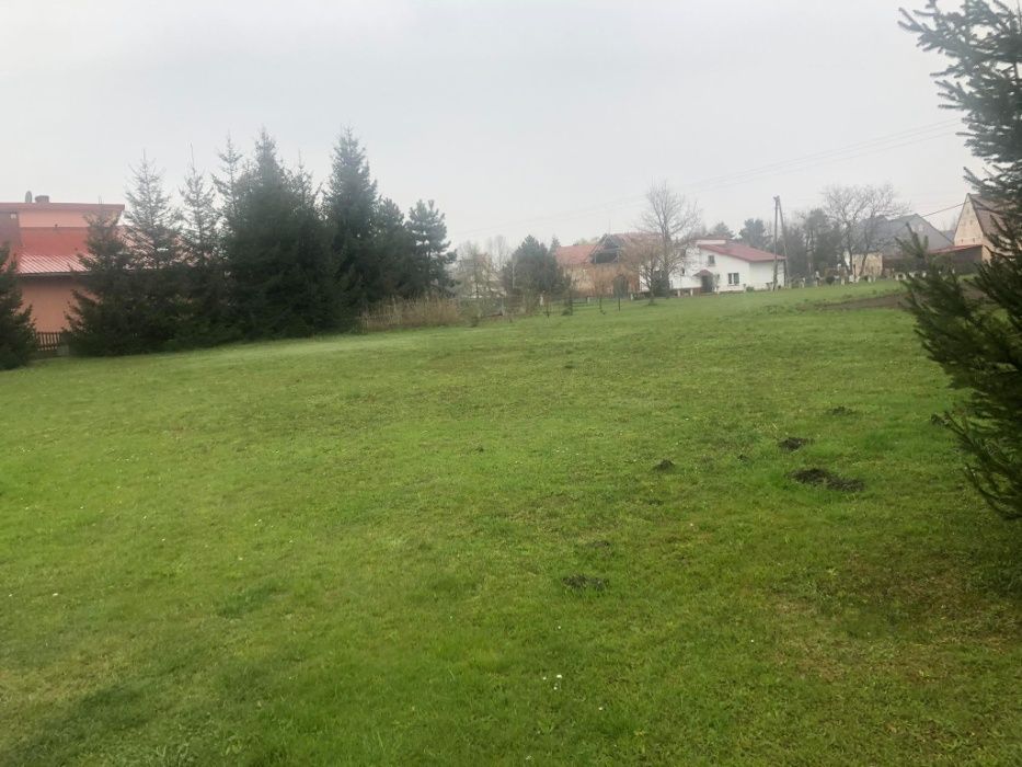 Działka budowlana Wierzbno. Zdjęcie 4