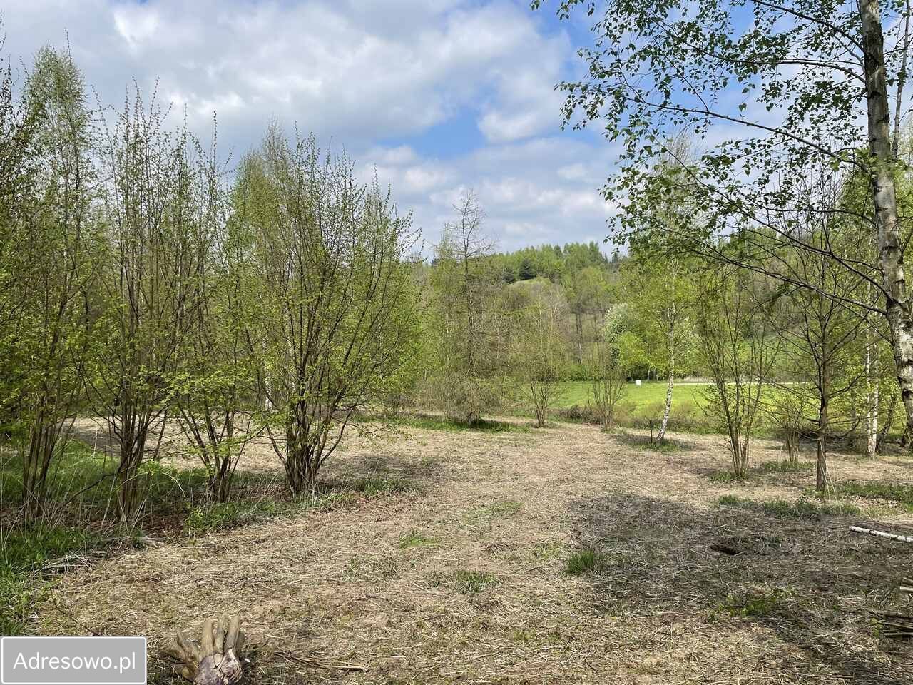 Działka budowlana Kazimierz Dolny. Zdjęcie 10