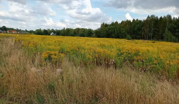 Działka budowlana Wola Mrokowska, ul. Ogrodowa