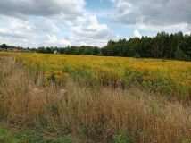 Działka budowlana Wola Mrokowska, ul. Ogrodowa