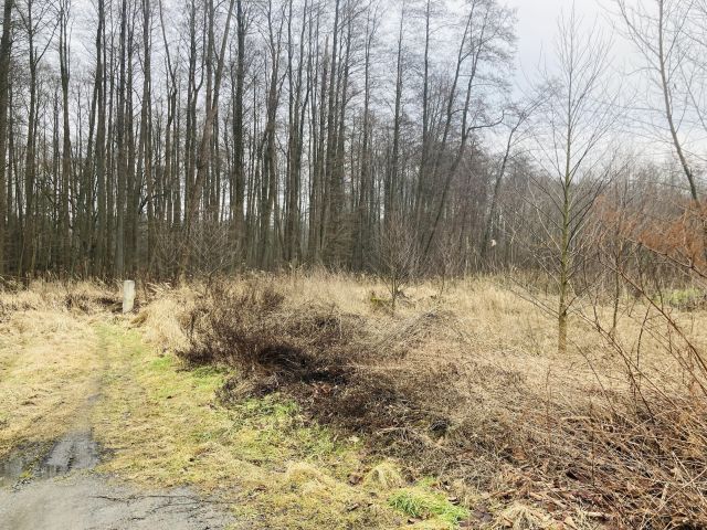 Działka rekreacyjna Myślibórz Wielki. Zdjęcie 1