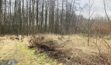 Działka rekreacyjna Myślibórz Wielki