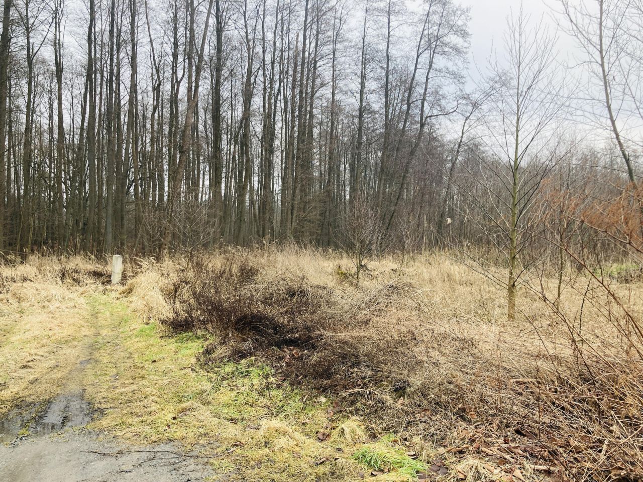 Działka rekreacyjna Myślibórz Wielki