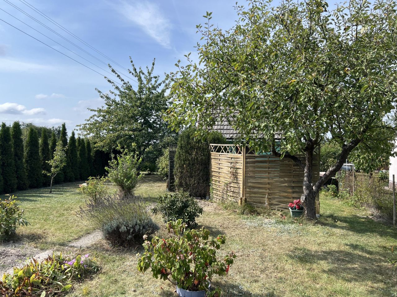 Działka rod Oława Nowy Otok, ul. Wiejska. Zdjęcie 7