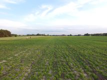Działka budowlana Janów Ruszki. Zdjęcie 2