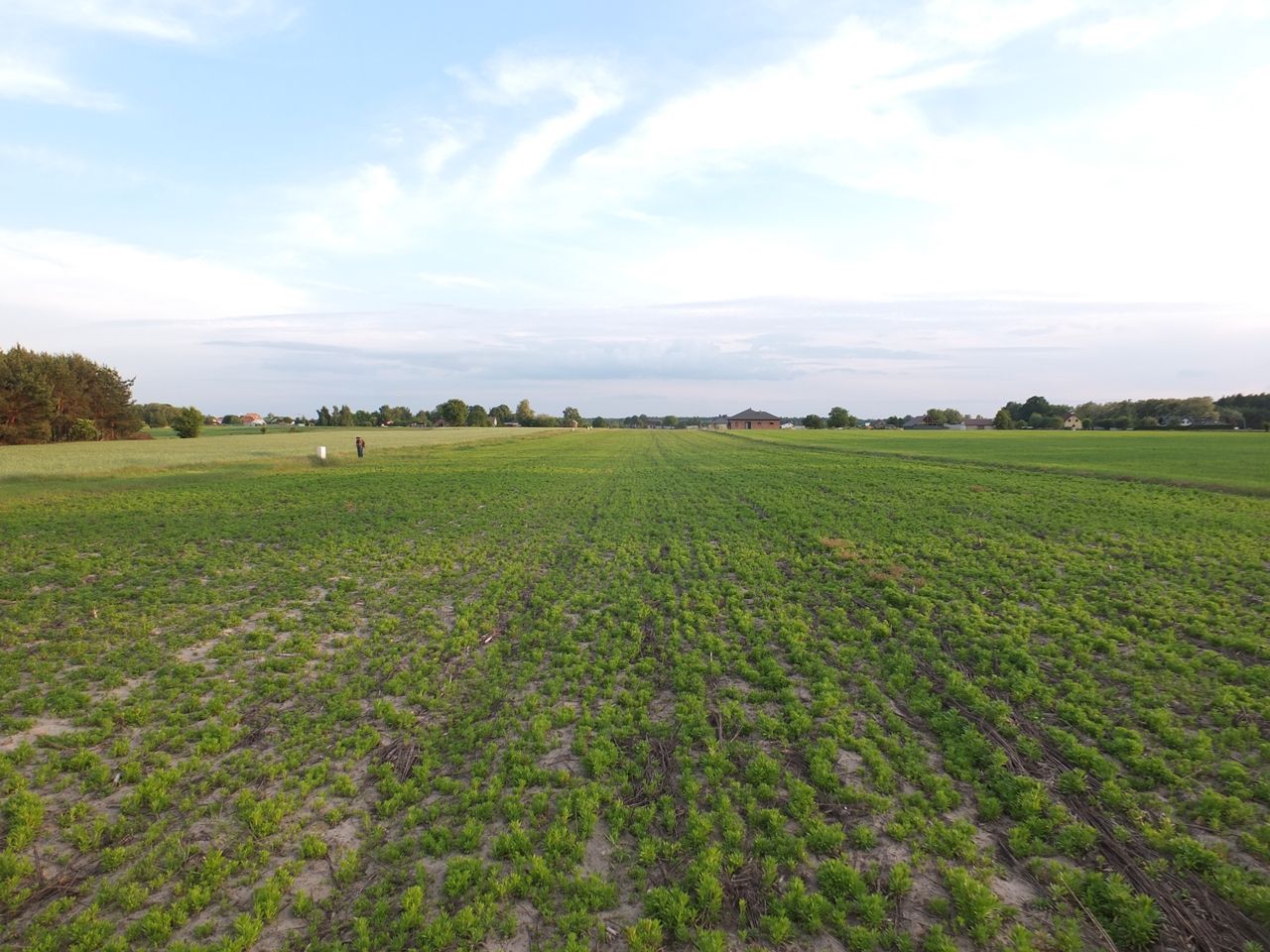 Działka budowlana Janów Ruszki. Zdjęcie 3