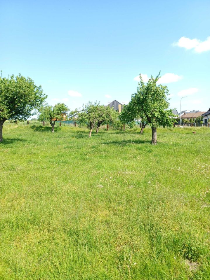 Działka budowlana Tanibórz. Zdjęcie 7