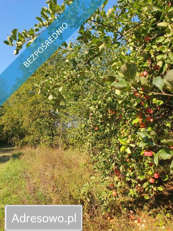 dom wolnostojący, 4 pokoje Saniki. Zdjęcie 10