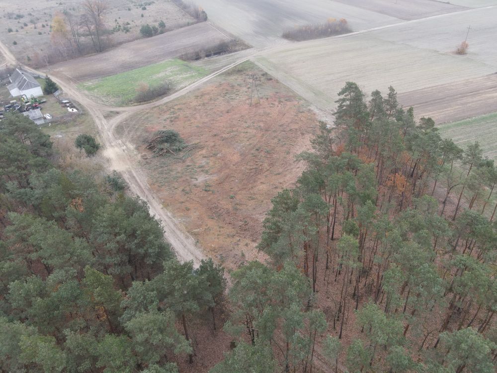 Działka budowlana Grzybów. Zdjęcie 2