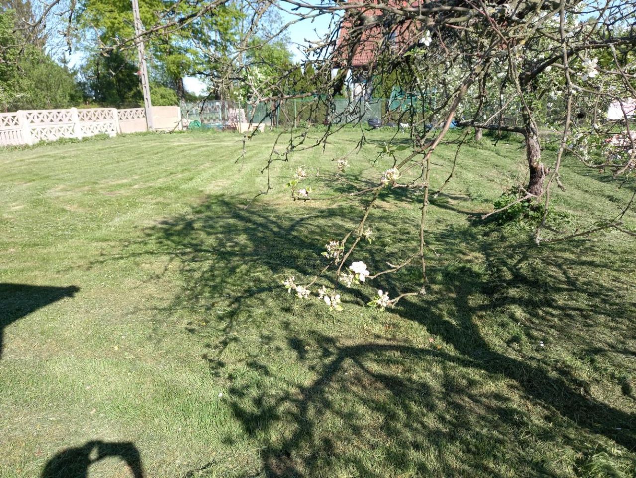 Działka rolna Rogów Sobócki, ul. Wrocławska