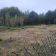 Działka budowlana Józefowo, ul. Brzozowa. Zdjęcie 10