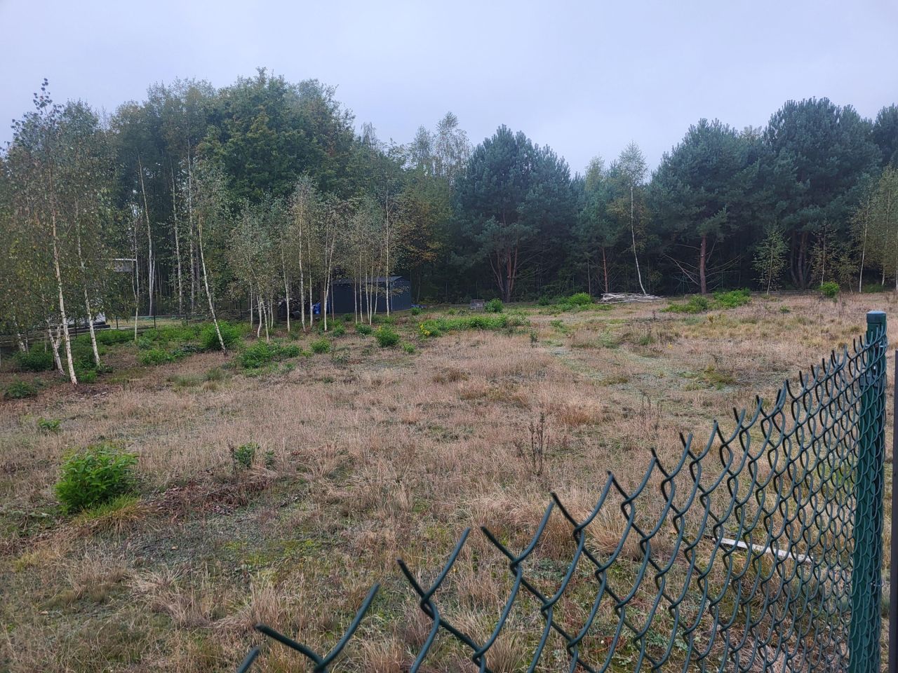 Działka budowlana Józefowo, ul. Brzozowa. Zdjęcie 10