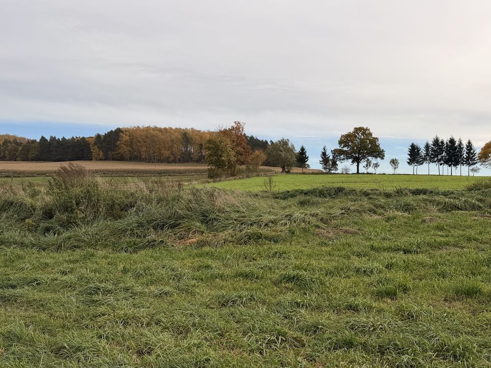 Działka budowlana Złotowo. Zdjęcie 3