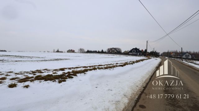 Działka inwestycyjna Niechobrz. Zdjęcie 6