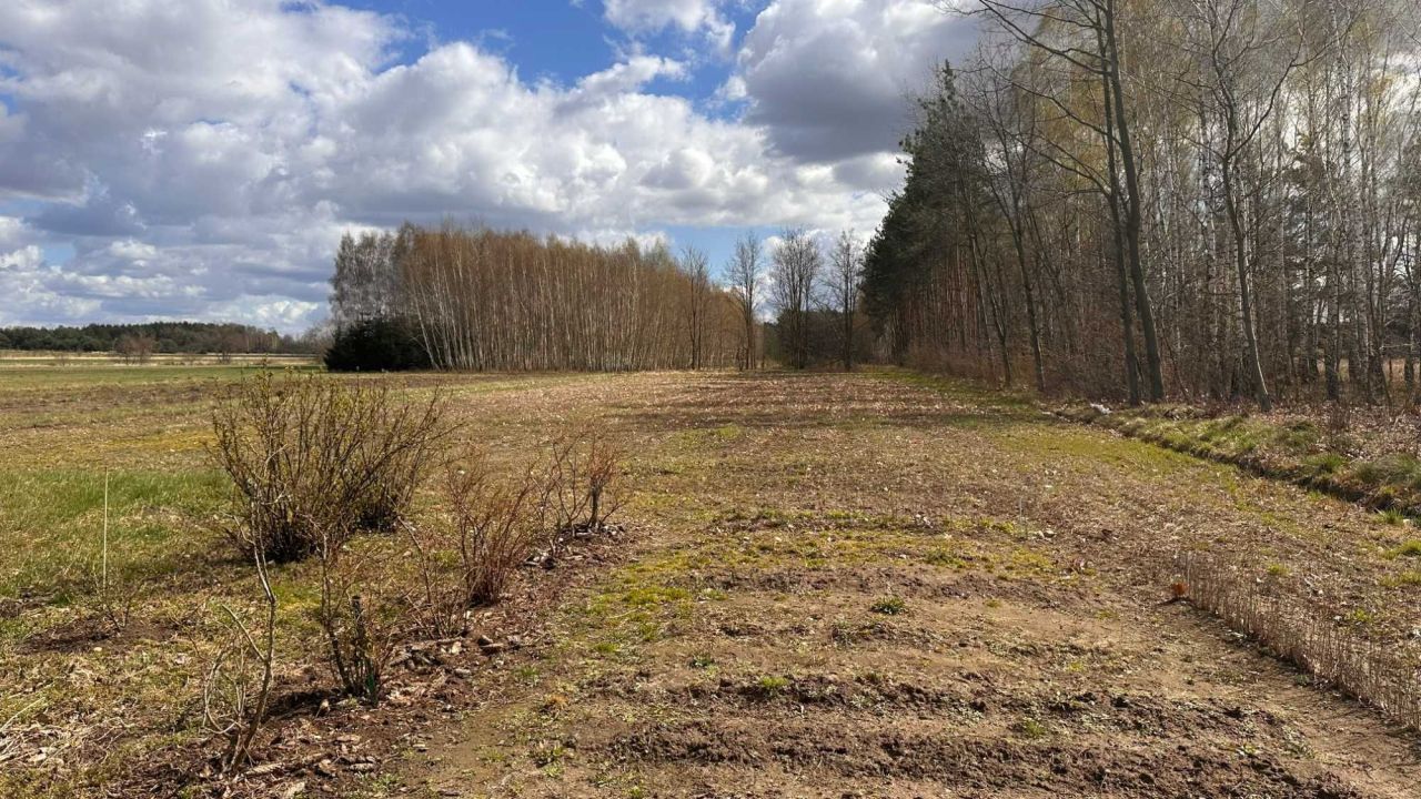 Działka rolna Maków, ul. Brzosty. Zdjęcie 6