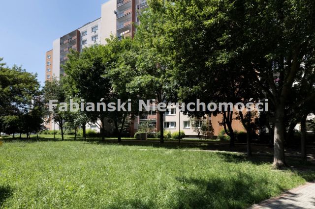 Mieszkanie 3-pokojowe Poznań Grunwald, os. Mikołaja Kopernika. Zdjęcie 14