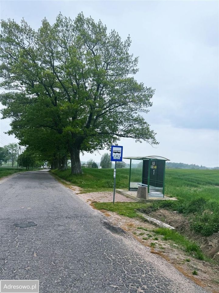 Działka budowlana Lisewo, ul. Lisewska. Zdjęcie 10