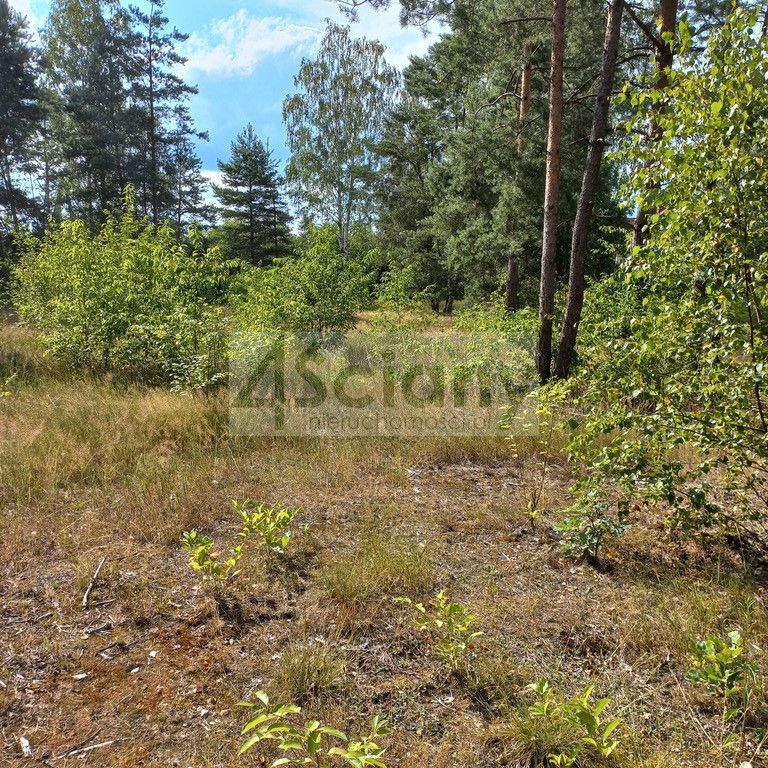 Działka budowlana Chotomów. Zdjęcie 7