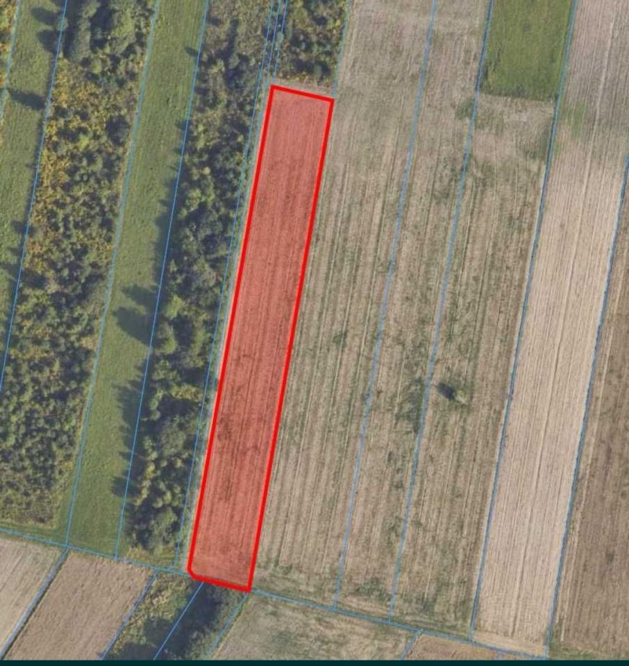 Działka rolno-budowlana Radom Kierzków, ul. Marglowa. Zdjęcie 4