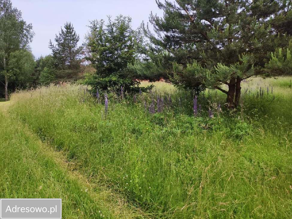 Działka rolna Rostki Skomackie. Zdjęcie 18