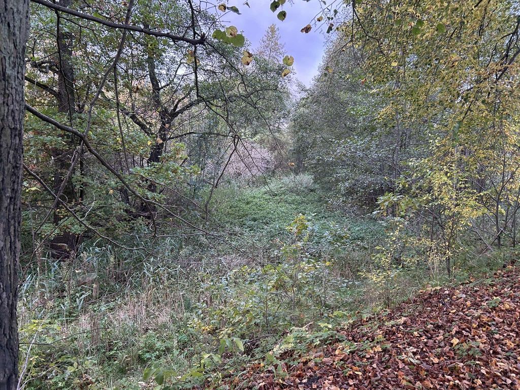 Działka budowlana Starogard Gdański. Zdjęcie 4