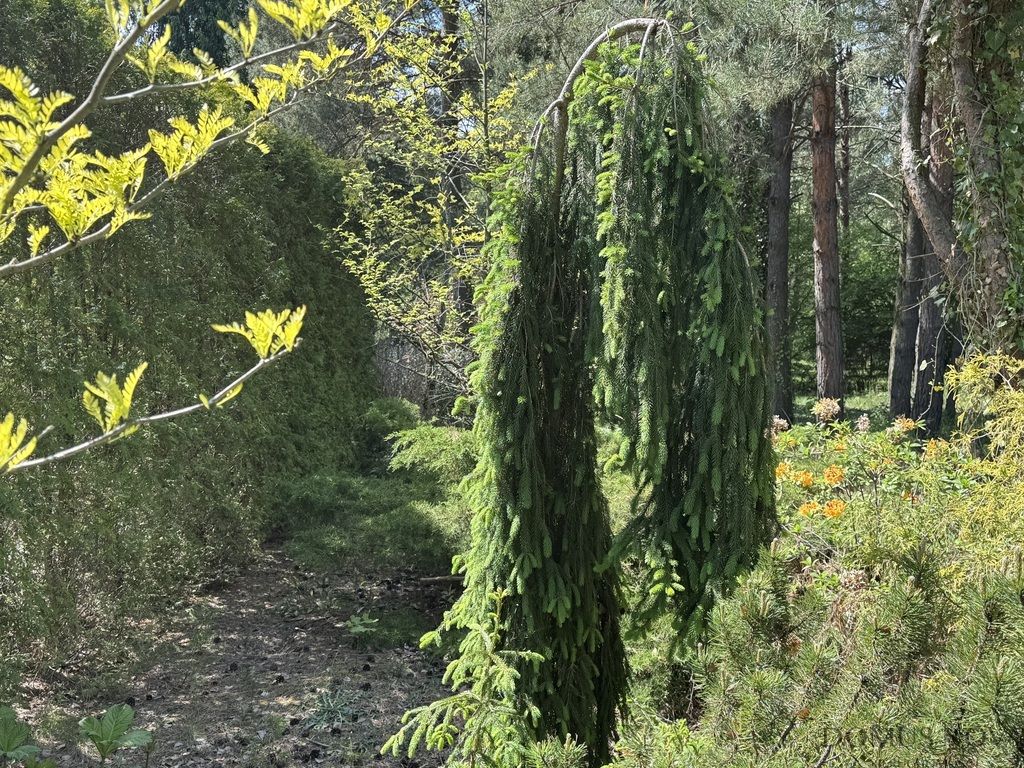 dom wolnostojący, 3 pokoje Jerzyska, ul. Niedźwiedzicy. Zdjęcie 9