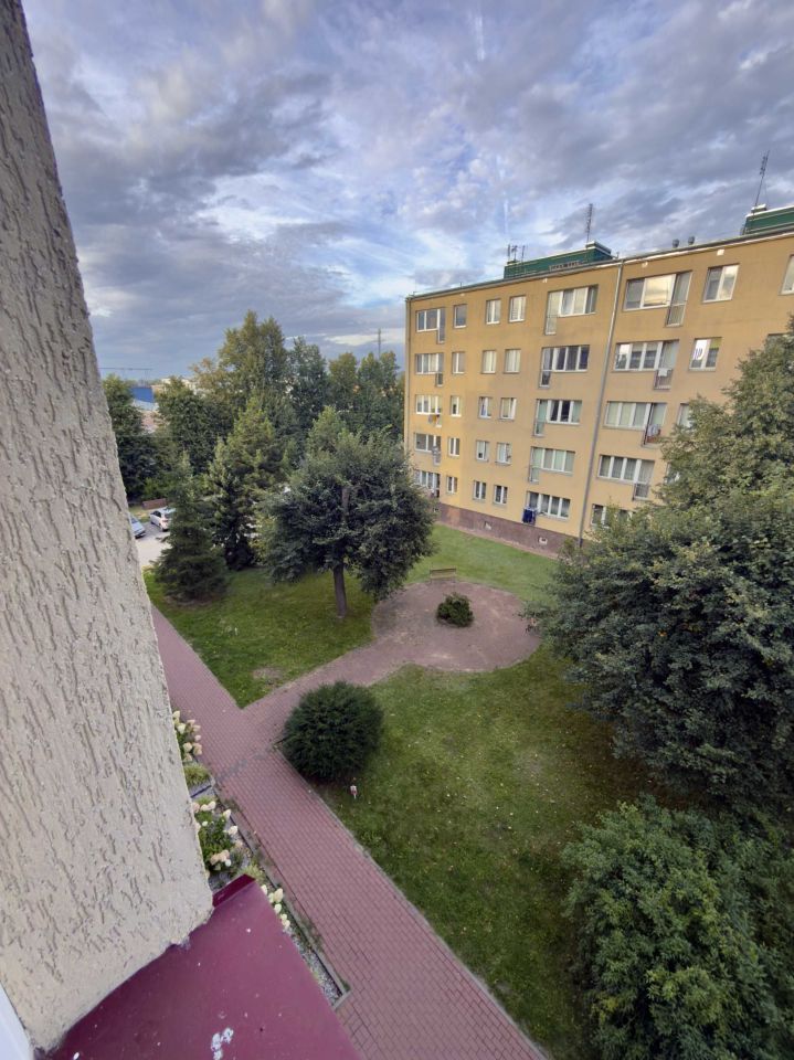 Zdjęcie 8
