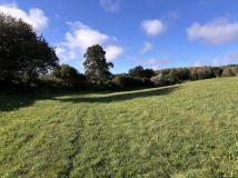 Działka rolna Nietulisko Duże. Zdjęcie 1