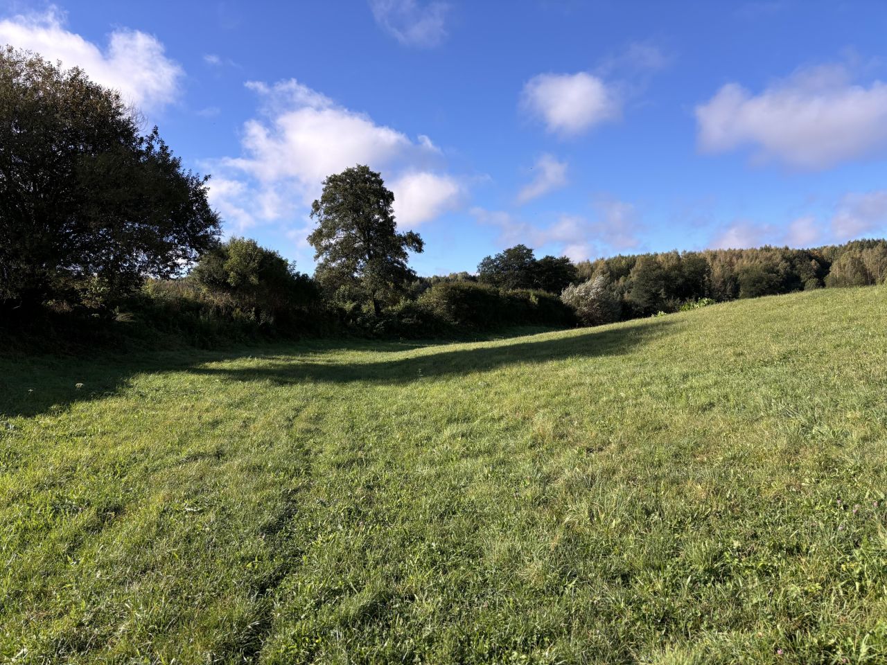 Działka rolna Nietulisko Duże. Zdjęcie 2