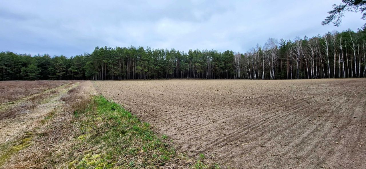 Działka budowlana Cekcyn Cekcynek. Zdjęcie 4