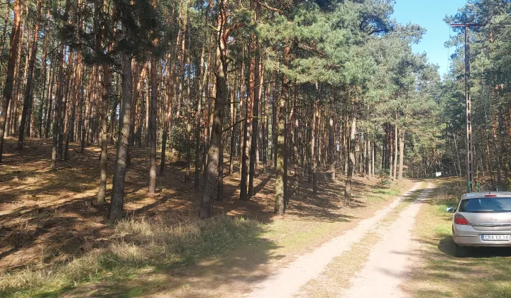Działka leśna Stawiska Wymysłowo