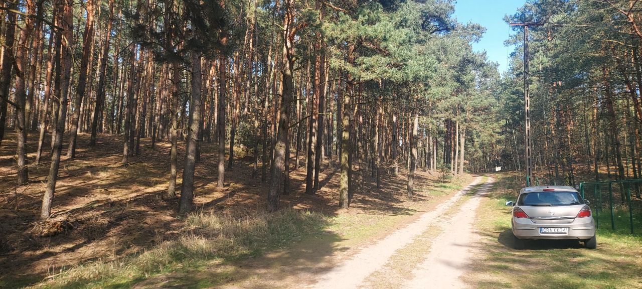 Działka leśna Stawiska Wymysłowo